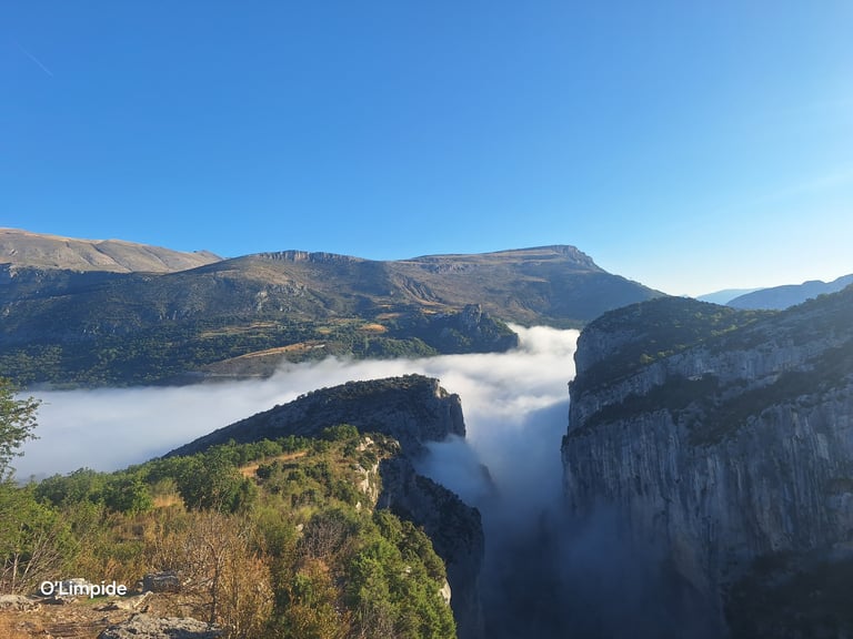 Background of a beautiful view