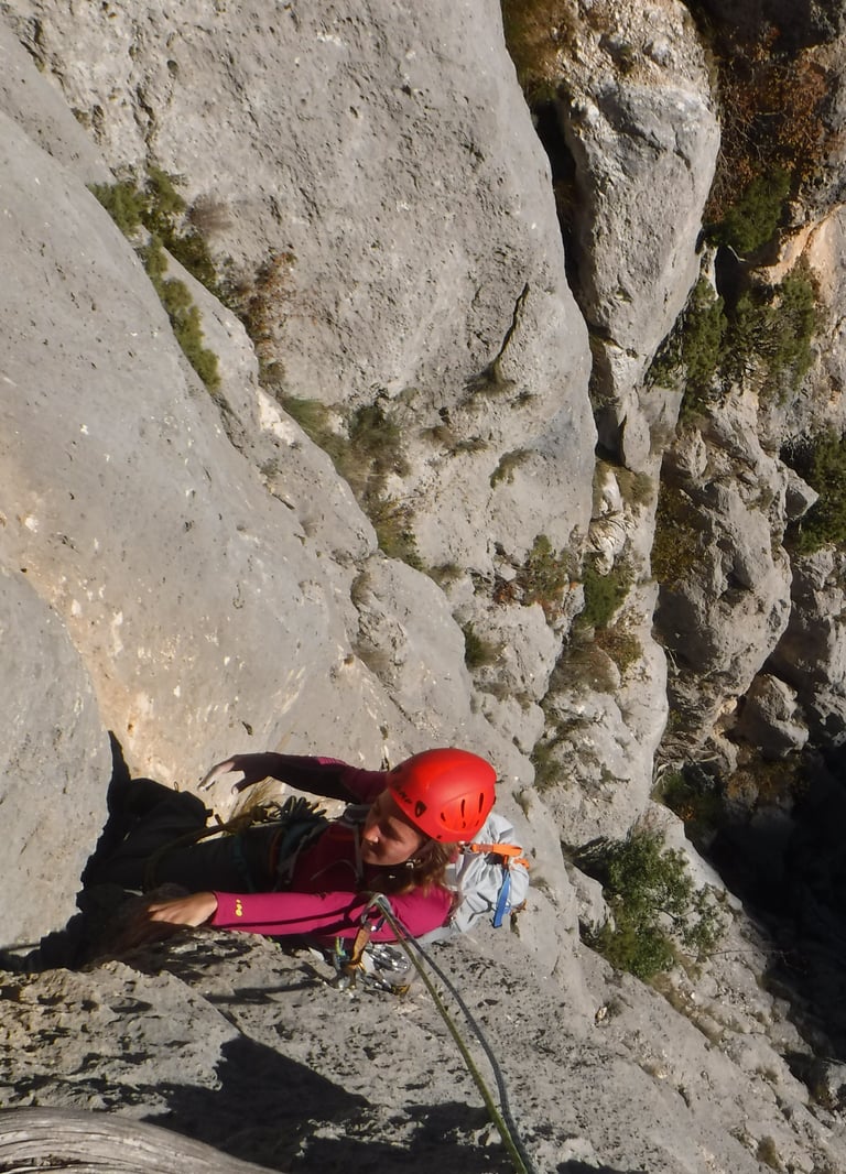 Background of a beautiful view